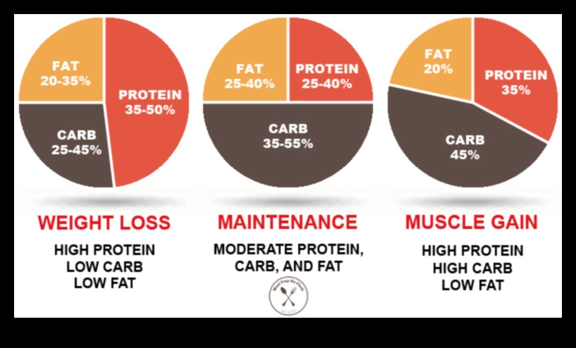 Defalcarea macronutrienților: un ghid pentru raporturi echilibrate