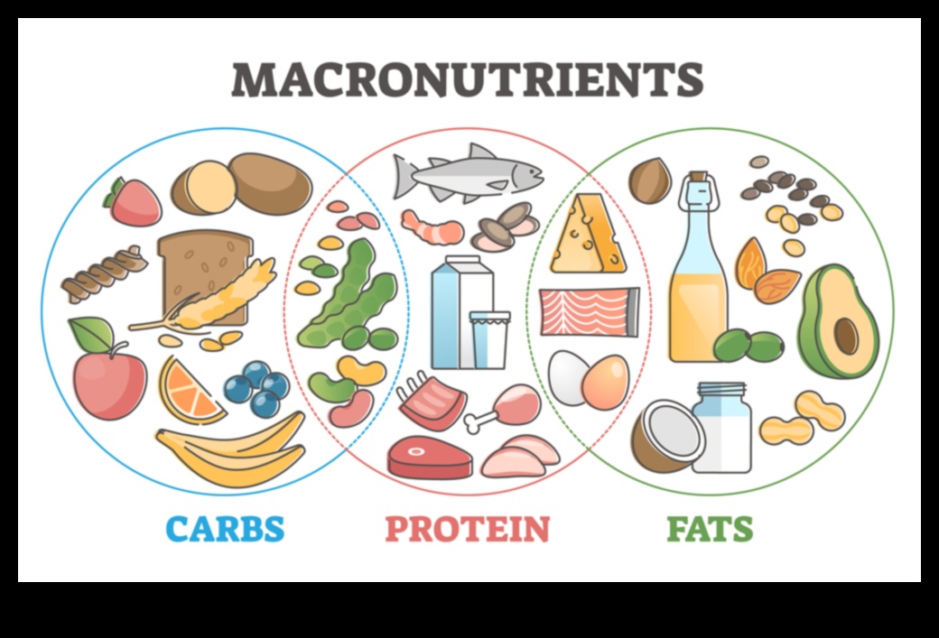 Defalcarea macronutrienților: un ghid pentru raporturi echilibrate